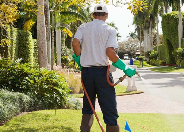 About Eunice LA Pest Control